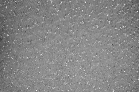 giveevig pictures-0017- MG 6334-plastic-edited