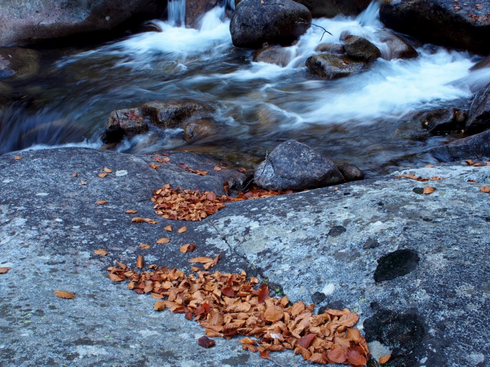 Otoño. Rincón Pirineo.