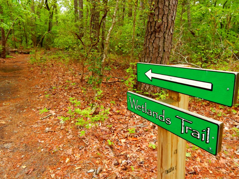 wetland trail sign Clark Park +Cape Fear River Trail ncwetlands KG (1)