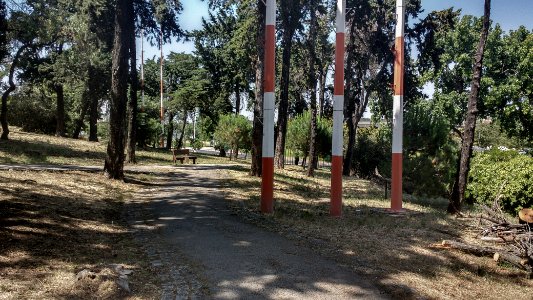 IMG 20170614 155054702 HDR