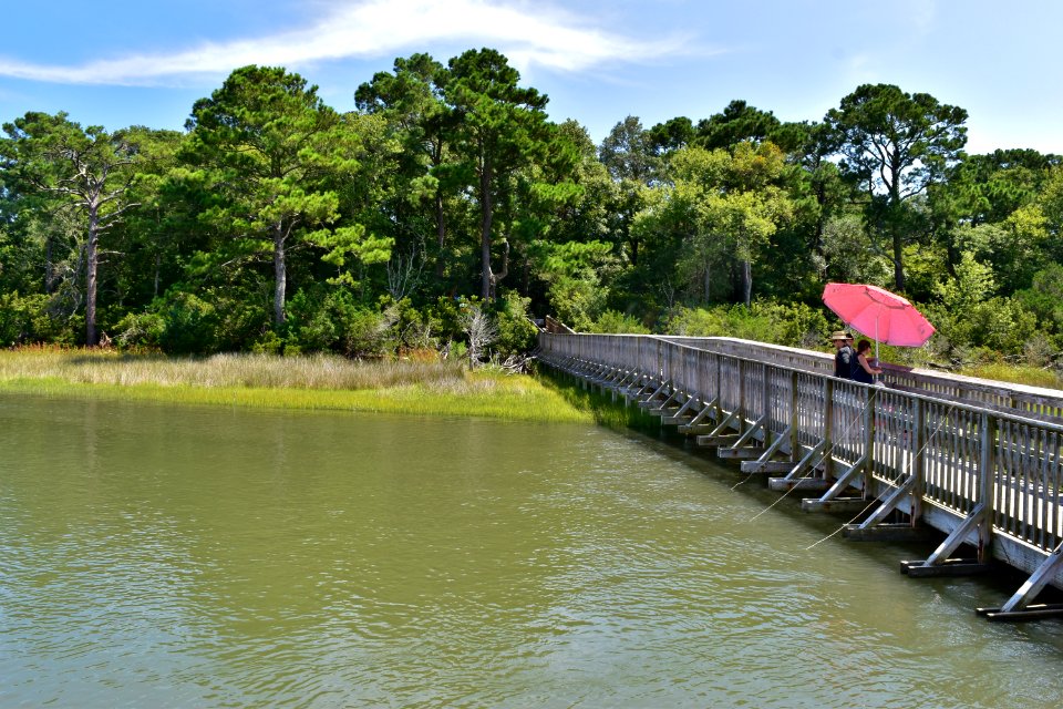 scene pier and marsh edge emerald isle woods ncwetlands AM (23)