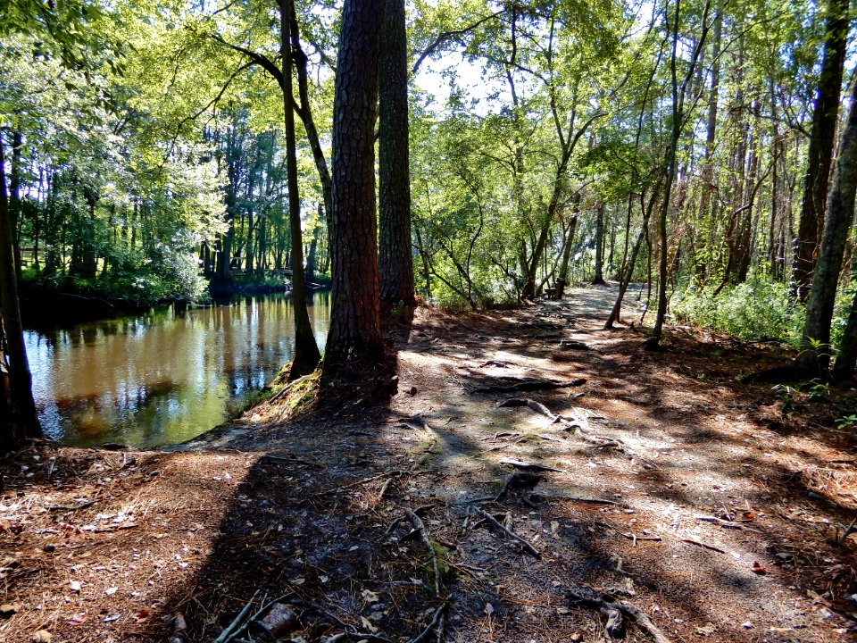 scene river and trail Lumber River SP Chalk Banks ncwetlands KG