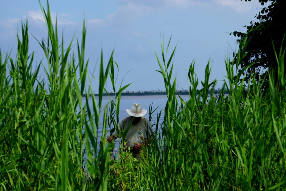 people scientist Buckridge Reserve ncwetlands KG (2)