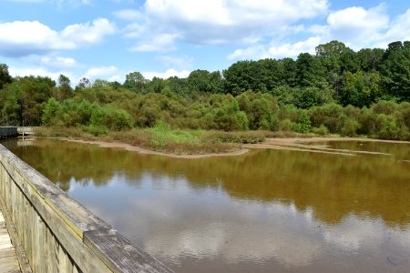 scene Lake Lynn ncwetlands AM (10)