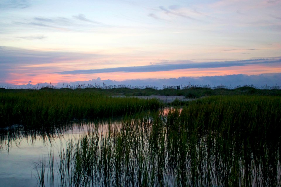 scene 5 Masonboro Island Reserve NC Coastal Reserve