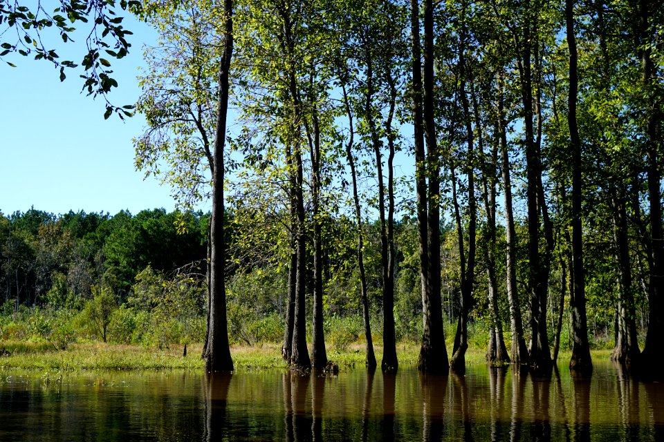 scene Buckhorn Reservoir KG (405)