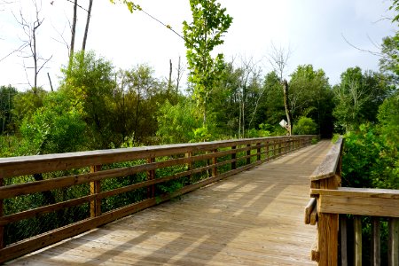 scene white oak creek greenway ncwetlands KG (4)