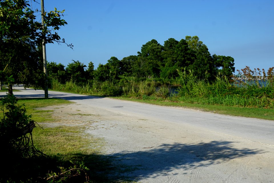 scene Lawson Creek Park KG (23)