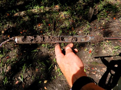 soil bottomland hardwood wetland Lumber River SP Chalk Banks ncwetlands KG (44) photo