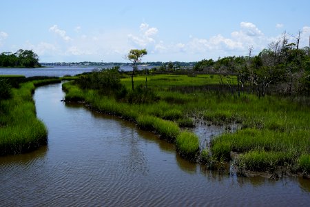 scene Cedar Point trail Croatan KG (14)