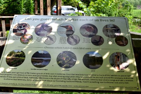 sign Beaver Lake bird sanctuary ncwetlands AM (3)