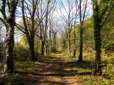 Vallée des Prades (1)