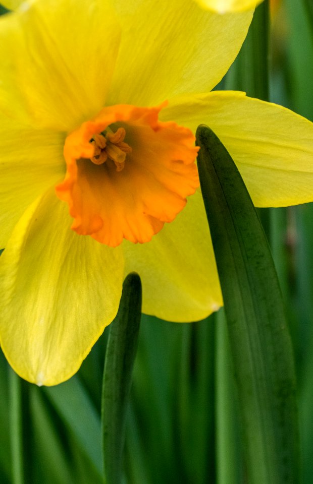April photos-062.jpg