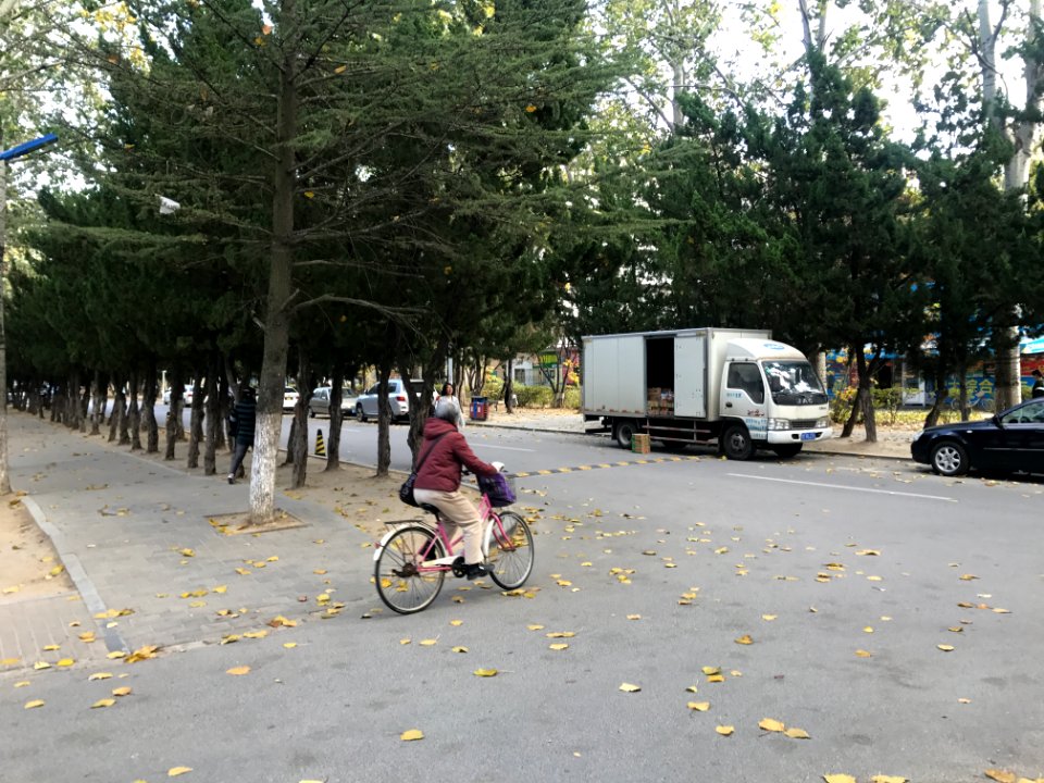 2017-11-10 Old Women Bicycle Yantai ZHANG Jin