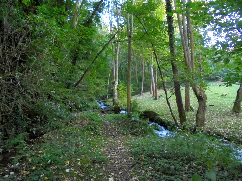 La Tiretaine et ses lavoirs
