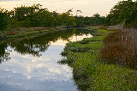 oak island 31st st scenic walkway ncwetlands KG (2)
