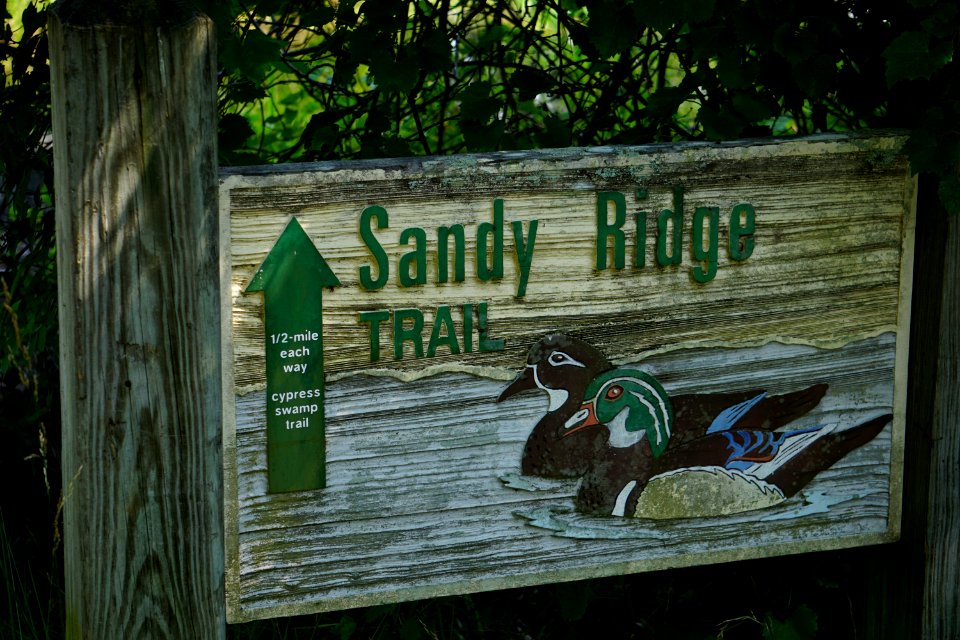 sign Alligator River NWR ncwetlands KG (19)