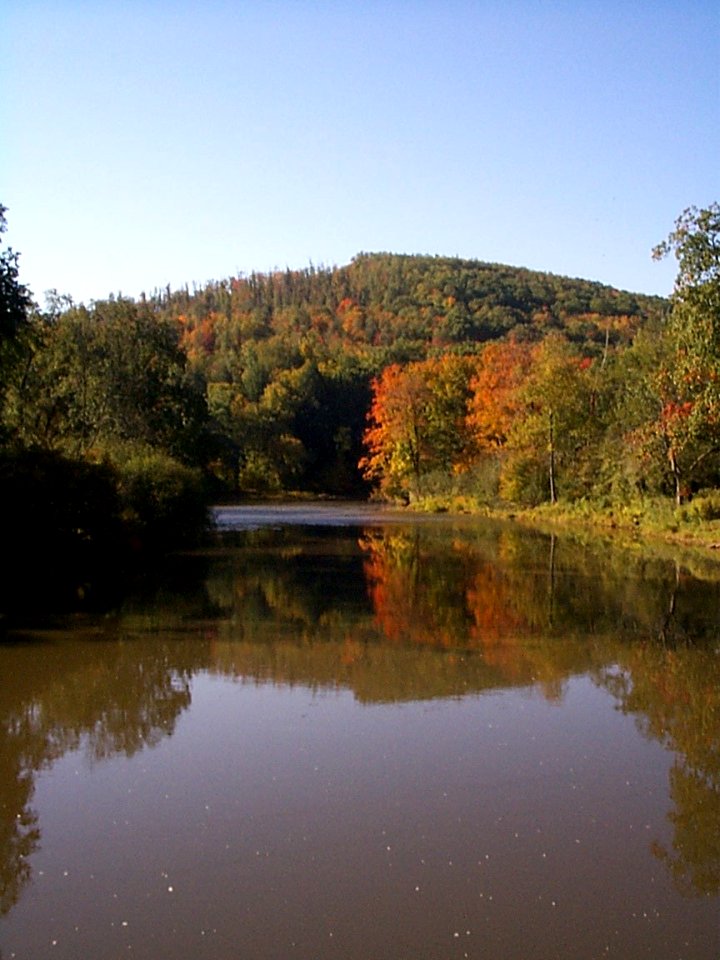 FS-Allegheny-001