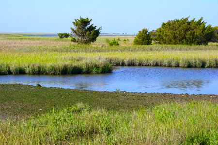scene fort fisher state recreation area ncwetlands KG (8)