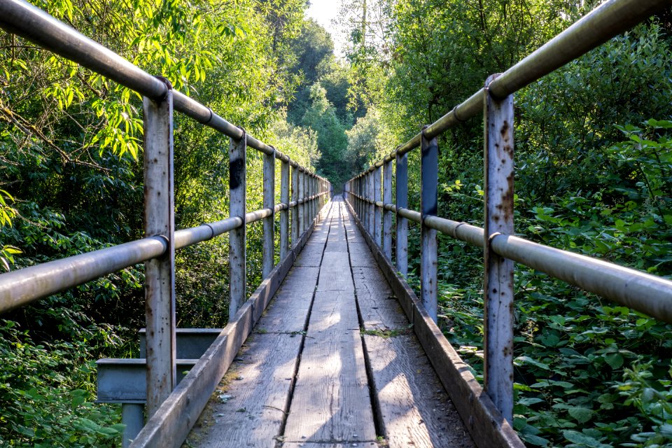 Wapato Bridge