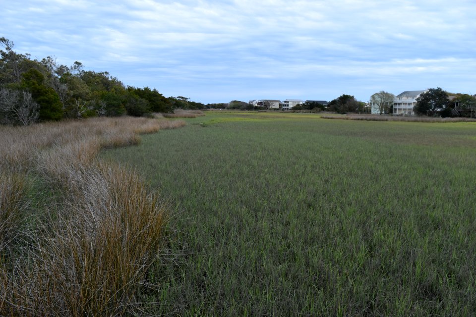 oak island 31st st scenic walkway ncwetlands AM (2)