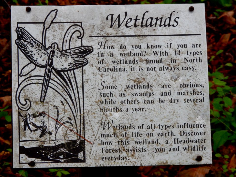 wetland sign Clark Park +Cape Fear River Trail ncwetlands KG (2)
