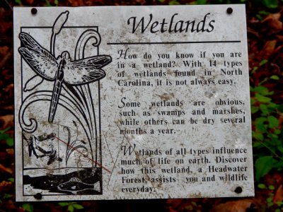 wetland sign Clark Park +Cape Fear River Trail ncwetlands KG (2)