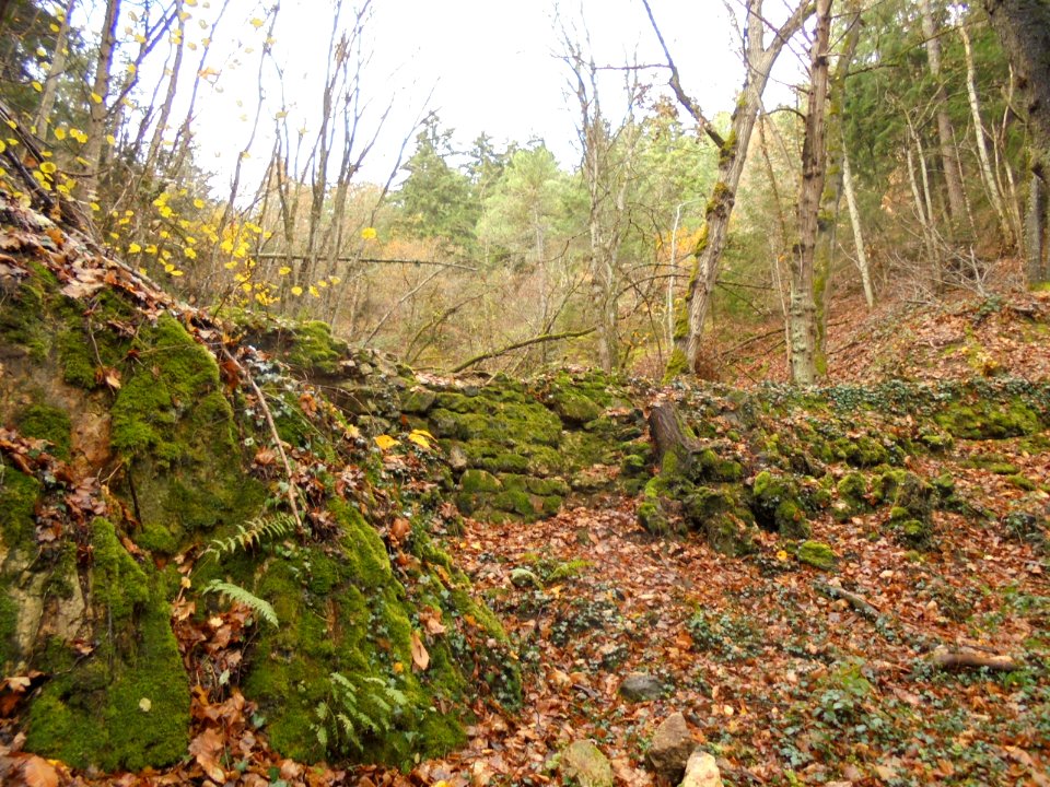 Gorges d'Enval