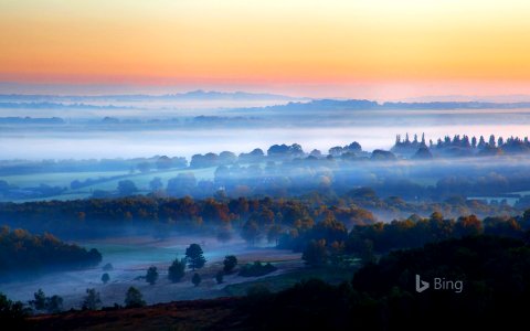 Ashdown Forest, East Sussex, United Kingdom