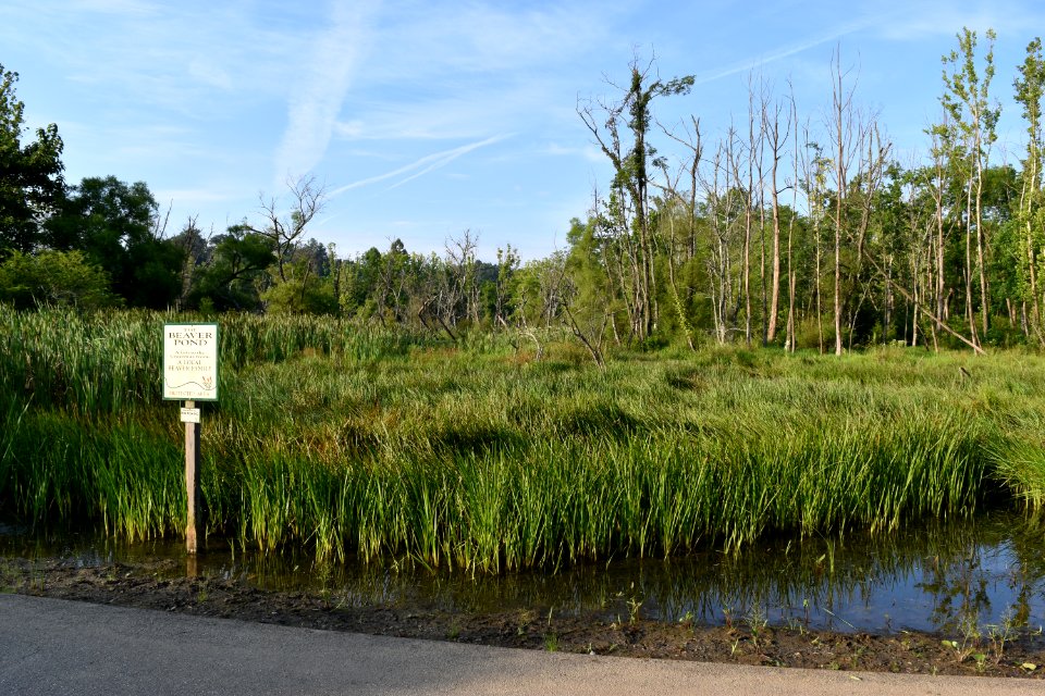 sign Wesley's Park ncwetlands AM (6)