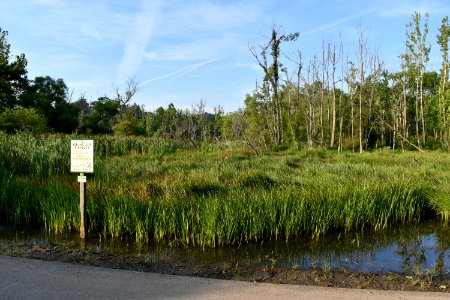 sign Wesley's Park ncwetlands AM (6)