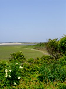 scene outer loop trail Rachel Carson Reserve NC Coastal Reserve