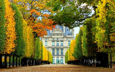 Jardin des Tuileries in autumn leading to the Louvre Museum in Paris, France