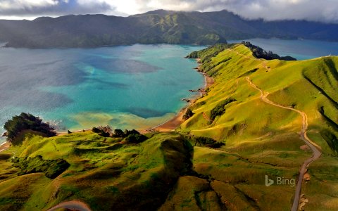 Aerial view of Marlborough Sounds, New Zealand photo