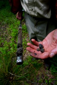 soil wetland Morrow Mountain SP ncwetlands KG