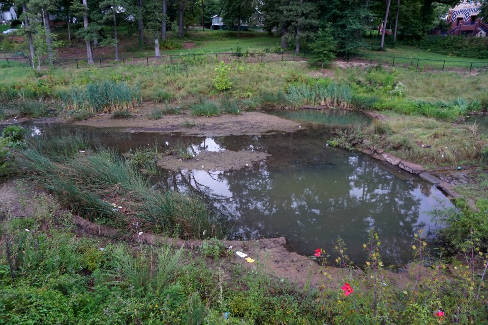 Blum Park constructed wetland ncwetlands KG (8)