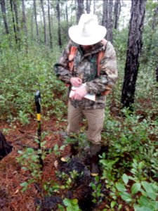 people scientist boiling spring lakes preserve ncwetlands KG (3)
