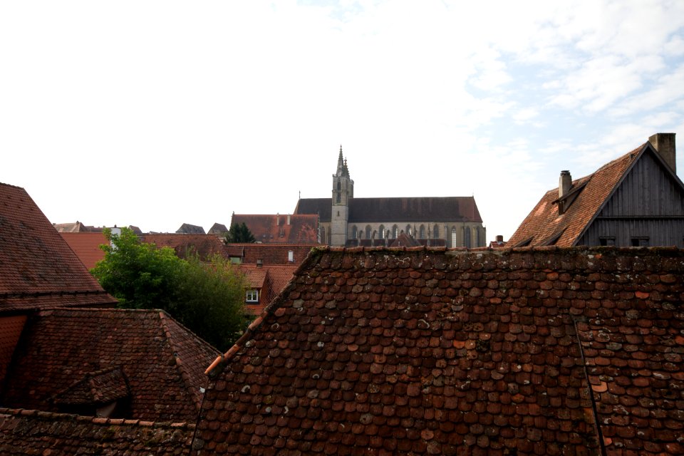 IMG 9857