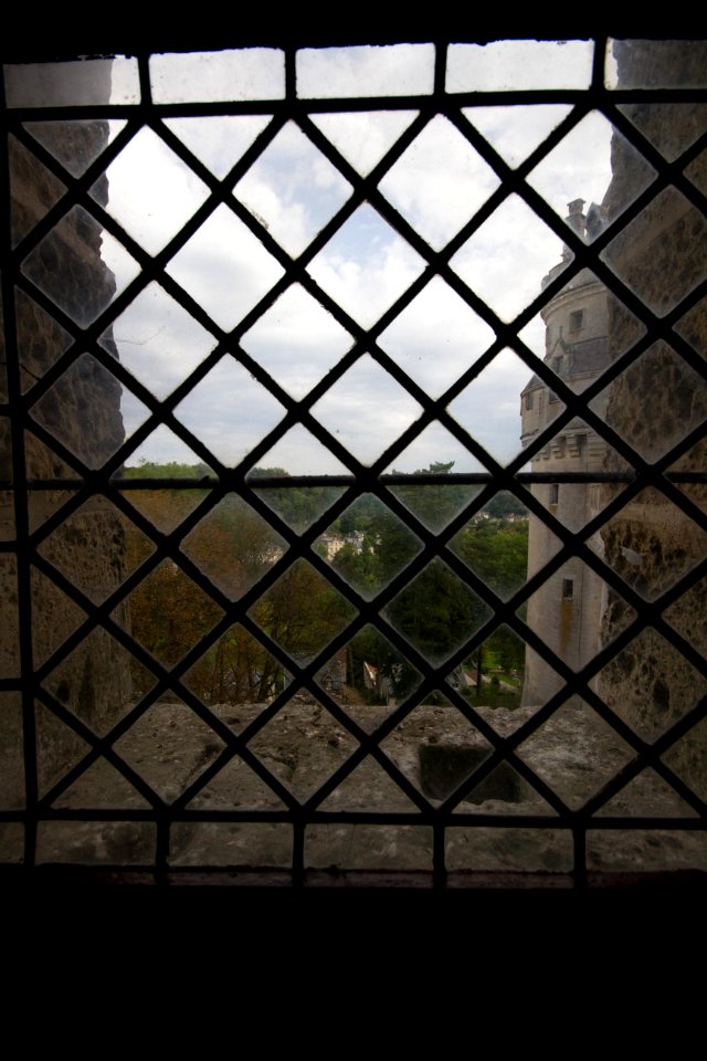 IMG 9145