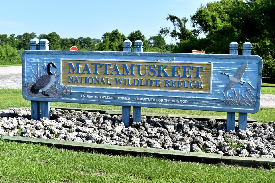 sign lake mattamuskeet ncwetlands am (7)
