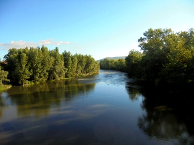 Cournon - Berges de l'Allier (1)