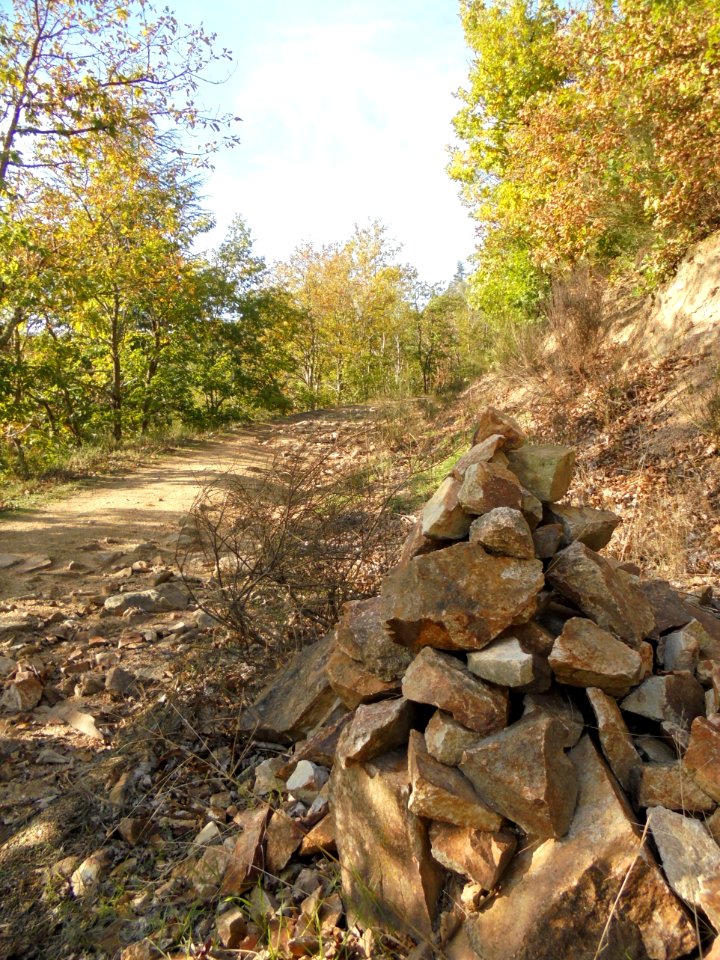Vallée des Prades (10)