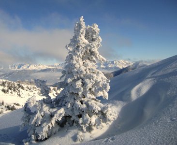 Ski Amade photo