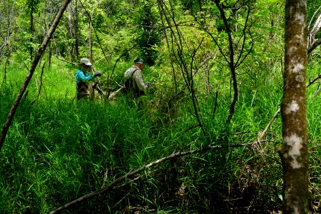 scene apollo heights sampling 6-25-20 (2)