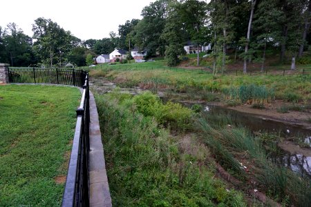 Blum Park constructed wetland ncwetlands KG (9)