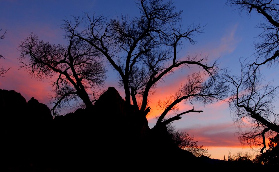 Watchman at sunset