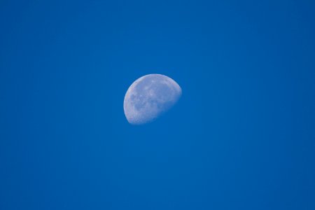Morning moon photo