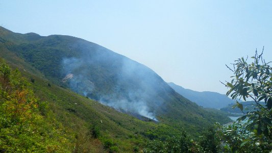1247 山火