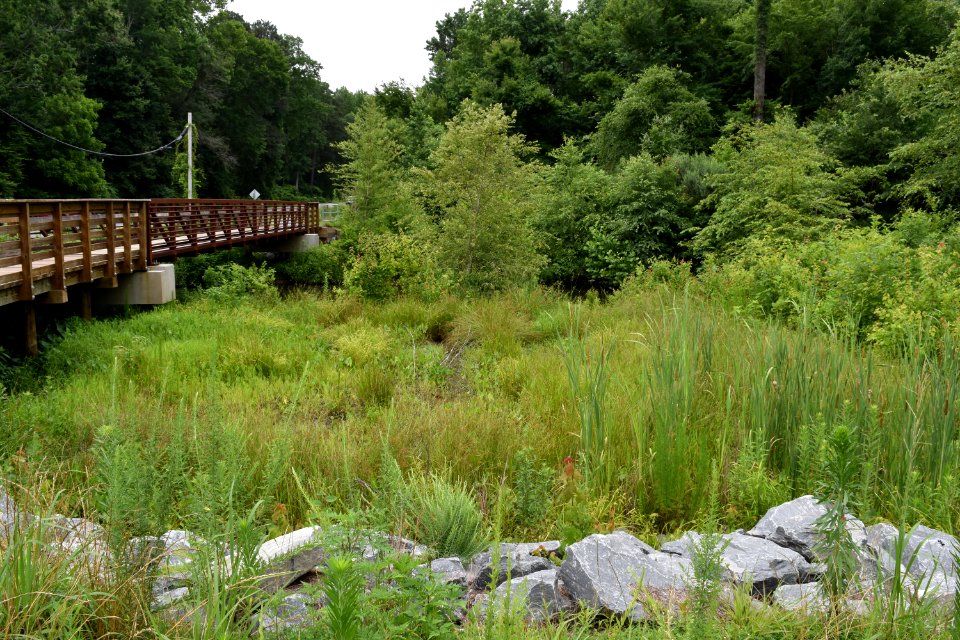scene greenway at w new hope rd goldsboro ncwetlands am (14)