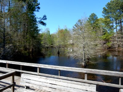 scene abbey nat preserve ncwetlands KG (3)